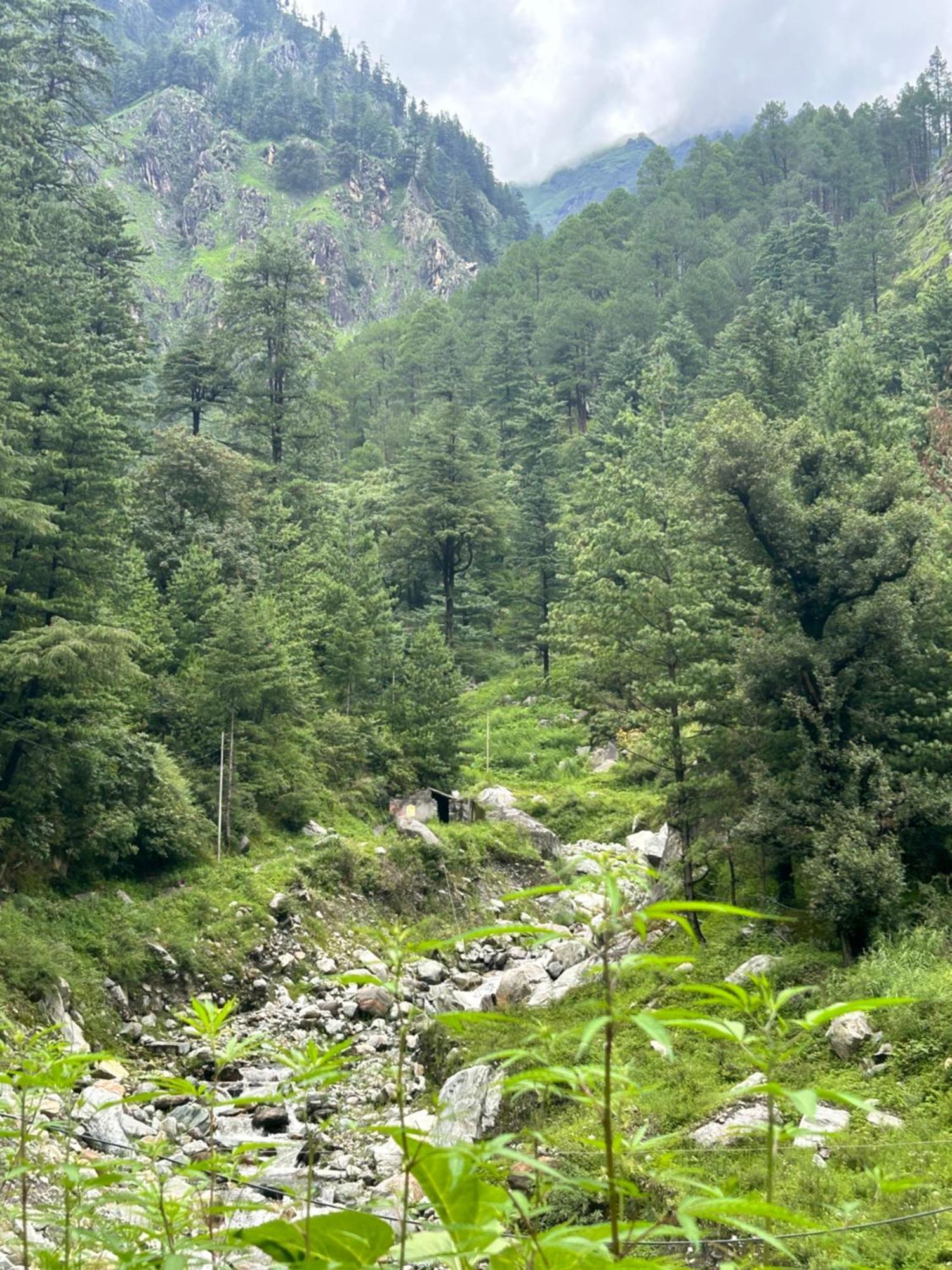 Formosa Hostel & Cafe Kasol Extérieur photo